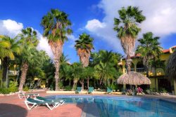 Buddy Dive Resort - Bonaire. Swimming pool.